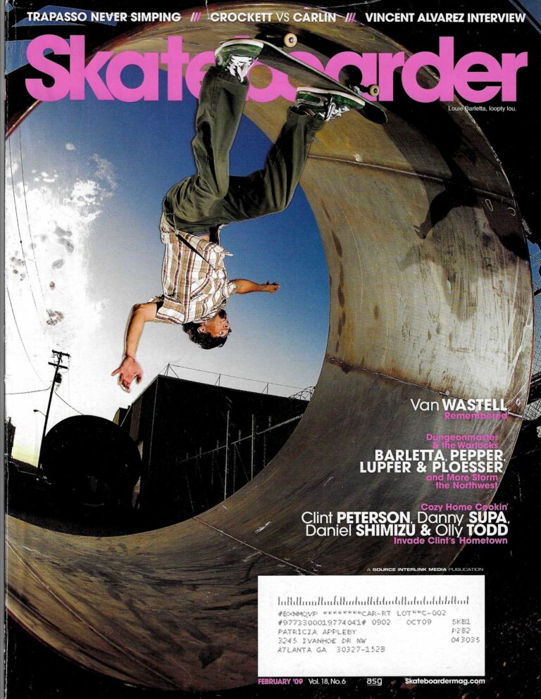 Skateboarder February 2009