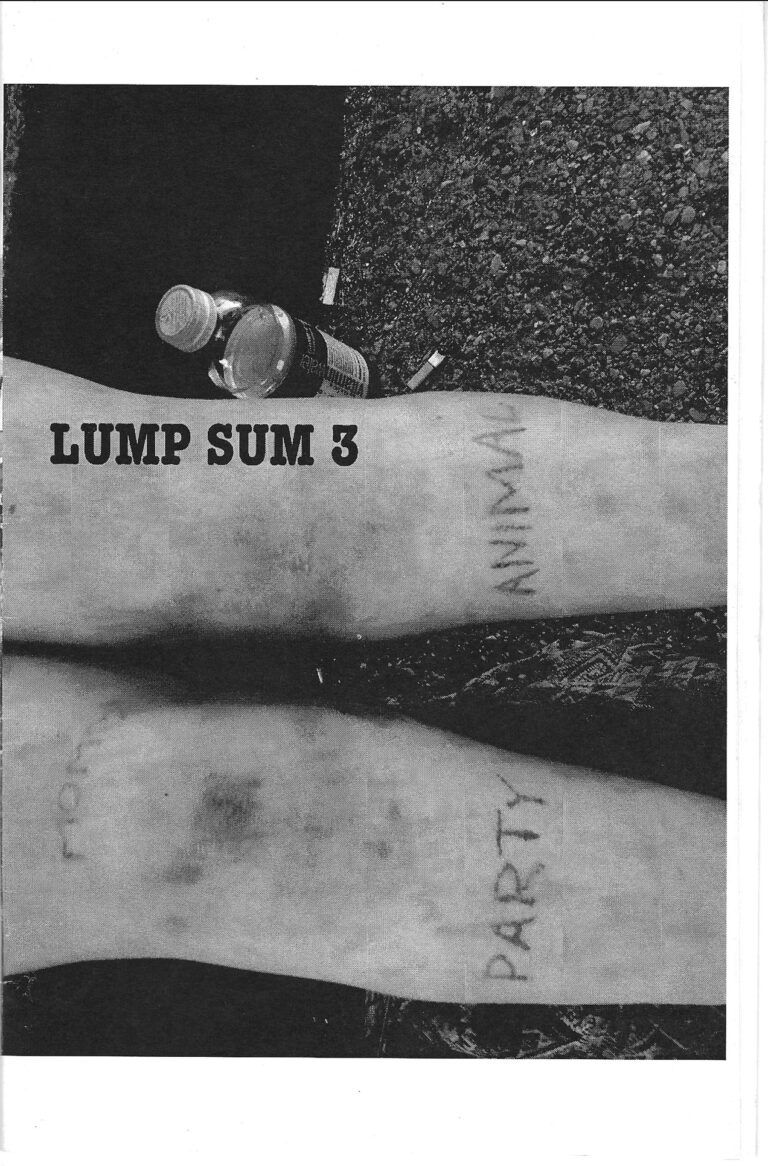 Lump Sum Zine #3