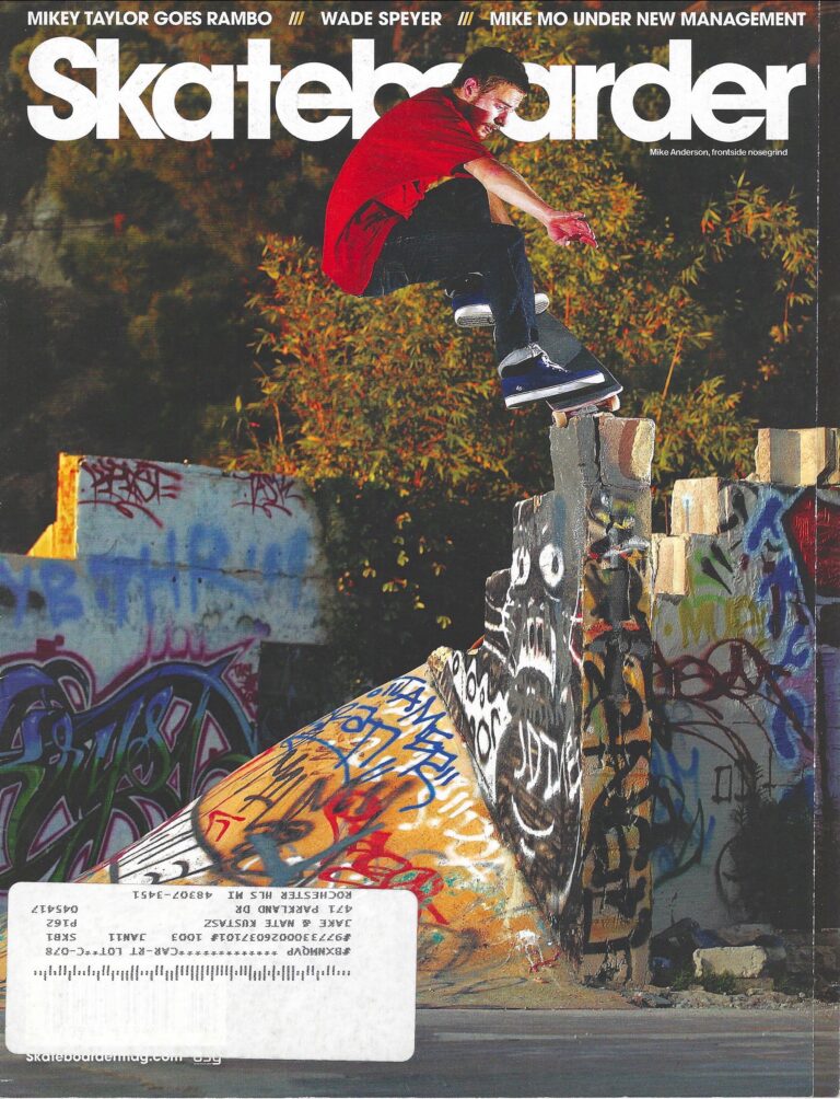 Skateboarder March 2010