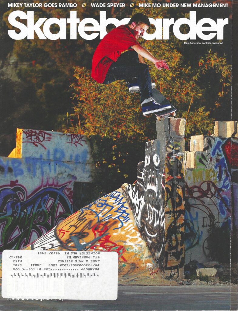 Skateboarder March 2010